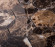 Мозаика Wild Stone Hexagon Dark Emperador Polished 63x63 (JMST6303P) 282x260x8, натуральный мрамор Мозаика Wild Stone Hexagon Dark Emperador Polished 63x63 (JMST6303P) 282x260x8, натуральный мрамор