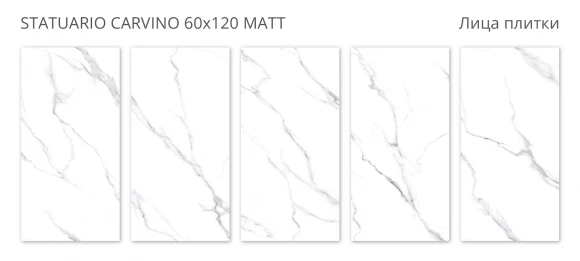 Керамогранит матовый STARO Rizzi Statuario Carvino 60x120 Matt