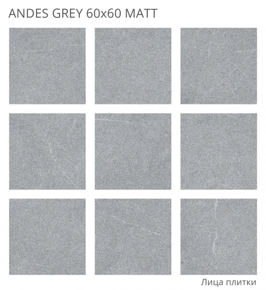 Керамогранит матовый STARO Rizzi Andes Grey 60x60 Matt