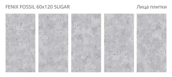 Керамогранит STARO Concreto Fenix Fossil 60x120 Sugar