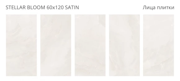 Керамогранит сатинированный STARO Bogema Stellar Bloom 60x120 Satin Керамогранит сатинированный STARO Bogema Stellar Bloom 60x120 Satin